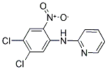 N2-(4,5-DICHLORO-2-NITROPHENYL)PYRIDIN-2-AMINE CAS#: 18018-23-0