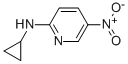 N2-CYCLOPROPYL-5-NITROPYRIDIN-2-AMINE, 97 CAS#: 246862-51-1