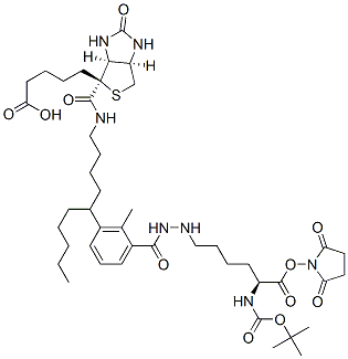N2-t-Boc-N6-(biotinamido-6-N-caproylamido)lysine N-Hydroxysuccinimide Ester CAS#: 102910-27-0