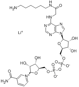 N6-([6-AMINOHEXYL]-CARBAMOYLMETHYL)-NICOTINAMIDE ADENINE DINUCLEOTIDE LITHIUM SALT CAS#: 102029-94-7