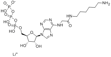 N6-([6-AMINOHEXYL]CARBAMOYL-METHYL)ADENOSINE 5'-TRIPHOSPHATE LITHIUM SALT CAS#: 102185-24-0