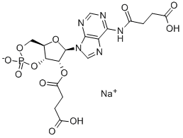 N6,2'-O-DISUCCINYLADENOSINE 3':5'-CYCLIC MONOPHOSPHATE SODIUM SALT CAS#: 102783-27-7
