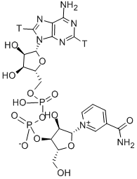 NICOTINAMIDE ADENINE DINUCLEOTIDE, [ADENINE-2,8-3H] CAS#: 107688-05-1
