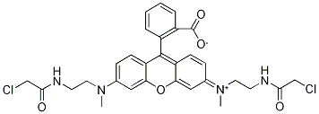 N,N'-Bis[2-(chloroacetaMido)ethyl]-N,N'-diMethyl RhodaMine CAS#: 203580-79-4
