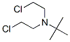 N,N-Bis(2-chloroethyl)-1,1-dimethylethan-1-amine CAS#: 10125-86-7