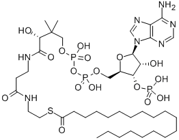 NONADECANOYL COENZYME A CAS#: 25045-61-8