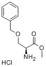 O-BENZYL-L-SERINE METHYL ESTER HYDROCHLORIDE CAS#: 19525-87-2