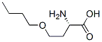 O-Butyl-L-homoserine CAS#: 17673-71-1