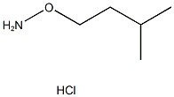 O-Isoamylhydroxylamine CAS#: 19411-65-5