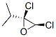 Oxirane, 2,3-dichloro-2-(1-methylethyl)-, trans- (9CI) CAS#: 101028-46-0