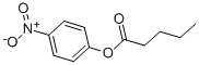 P-NITROPHENYL VALERATE CAS#: 1956-07-6