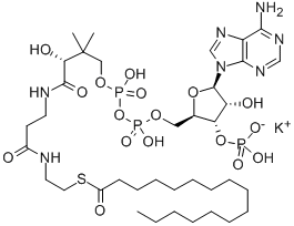 PALMITOYL COENZYME A POTASSIUM SALT CAS#: 1763-10-6
