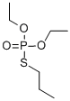 PHORATE-OXON CAS#: 20195-06-6