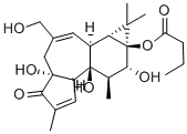 PHORBOL 13-BUTYRATE, 4BETA CAS#: 100929-94-0