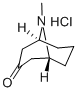 PSEUDOPELLETIERINE HYDROCHLORIDE CAS#: 6164-62-1