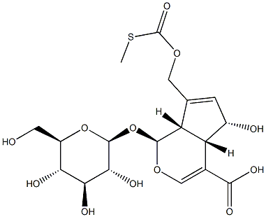 Paederosidic acid CAS#: 18842-98-3