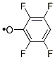 Phenoxy, 2,3,5,6-tetrafluoro- CAS#: 28318-49-2