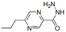 Pyrazinecarboxylic acid, 5-propyl-, hydrazide (9CI) CAS#: 111035-37-1