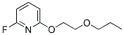 Pyridine, 2-fluoro-6-(2-propoxyethoxy)- (9CI) CAS#: 261519-47-5