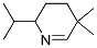 Pyridine, 2,3,4,5-tetrahydro-5,5-dimethyl-2-(1-methylethyl)- (9CI) CAS#: 250348-03-9