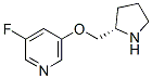 Pyridine, 3-fluoro-5-[(2S)-2-pyrrolidinylmethoxy]- (9CI) CAS#: 228867-55-8