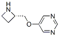 Pyrimidine, 5-[(2S)-2-azetidinylmethoxy]- (9CI) CAS#: 228866-56-6