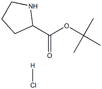 Pyrrolidine-2-carboxylic acid tert-butyl ester HCl CAS#: 256478-96-3