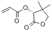(R)-(+)-ALPHA-ACRYLOYLOXY-BETA,BETA-DIMETHYL-GAMMA-BUTYROLACTONE CAS#: 102096-60-6