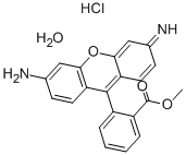 RHODAMINE 123 HYDRATE CAS#: 207671-45-2