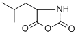 (R,S)-4-ISOBUTYLOXAZOLIDINE-2,5-DIONE CAS#: 26334-33-8