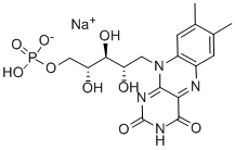 Riboflavin-5-phosphate sodium CAS#: 130-40-5