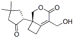 (S)-1-[(R)-4,4-Dimethyl-2-oxocyclopentyl]-5-hydroxymethyl-3-oxabicyclo[4.2.0]oct-5-en-4-one CAS#: 24017-74-1