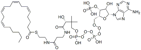 S-[2-[3-[[(2R)-4-[[[(2R,3R,5R)-5-(6-aminopurin-9-yl)-4-hydroxy-3-phosphonooxyoxolan-2-yl]methoxy-hydroxyphosphoryl]oxy-hydroxyphosphoryl]oxy-2-hydroxy-3,3-dimethylbutanoyl]amino]propanoylamino]ethyl] (5Z,8Z,11Z,14Z)-icosa-5,8,11,14-tetraenethioate CAS#: 17046-56-9