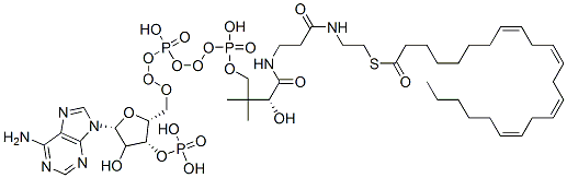 S-[2-[3-[[(2R)-4-[[[(2R,3R,5R)-5-(6-aminopurin-9-yl)-4-hydroxy-3-phosphonooxyoxolan-2-yl]methoxy-hydroxyphosphoryl]oxy-hydroxyphosphoryl]oxy-2-hydroxy-3,3-dimethylbutanoyl]amino]propanoylamino]ethyl] (8Z,11Z,14Z,17Z)-tricosa-8,11,14,17-tetraenethioate CAS#: 28879-98-3