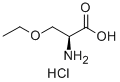 (S)-2-AMINO-3-ETHOXY-PROPIONIC ACID HYDROCHLORIDE CAS#: 4775-82-0