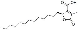 (S)-2-tridecyl-2,5-dihydro-4-methyl-5-oxo-3-furoic acid CAS#: 22800-25-5