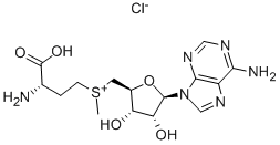 S-ADENOSYL-L-METHIONINE CHLORIDE SALT CAS#: 24346-00-7