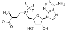 S-ADENOSYL-L-[METHYL-3H]METHIONINE CAS#: 111093-45-9