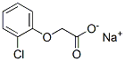 SODIUM-2-CHLOROPHENOXYACETATE CAS#: 13730-72-8
