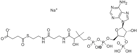 SUCCINYL COENZYME A SODIUM SALT CAS#: 108347-97-3