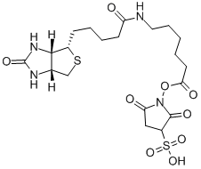 SULPHOSUCCINIMIDYL-6-(BIOTINAMIDO)HEXANOATE CAS#: 109940-19-4