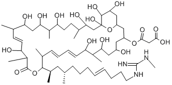 Scopafungin CAS#: 11056-18-1