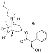 Scopolamine butylbromide CAS#: 149-64-4