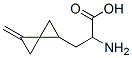 Spiro[2.2]pentanepropanoic acid, alpha-amino-2-methylene- (9CI) CAS#: 213198-59-5
