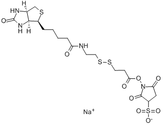 Sulfosuccinimidyl 3-[[2-(Biotinamido)ethyl] dithio]propionate CAS#: 202057-28-1