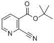 TERT-BUTYL-2-CYANONICOTINATE CAS#: 114429-07-1