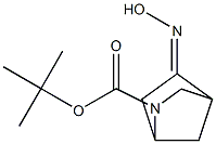 TERT-BUTYL 5-(HYDROXYIMINO)-2-AZABICYCLO[2.2.1]HEPTANE-2-CARBOXYLATE CAS#: 207405-61-6
