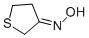 TETRAHYDROTHIOPHEN-3-ONE OXIME CAS#: 24030-02-2