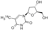 THYMIDINE, [METHYL-14C] CAS#: 13123-07-4