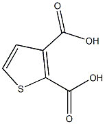 Thiophene-2,3-dicarboxylicacid CAS#: 1451-95-2